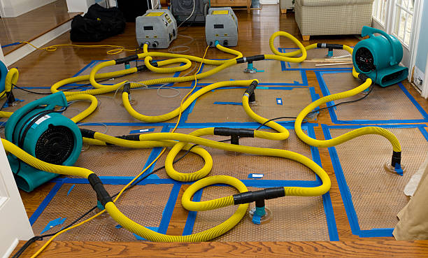 Professional Basement Flood Cleanup technician working in Taopi, MN